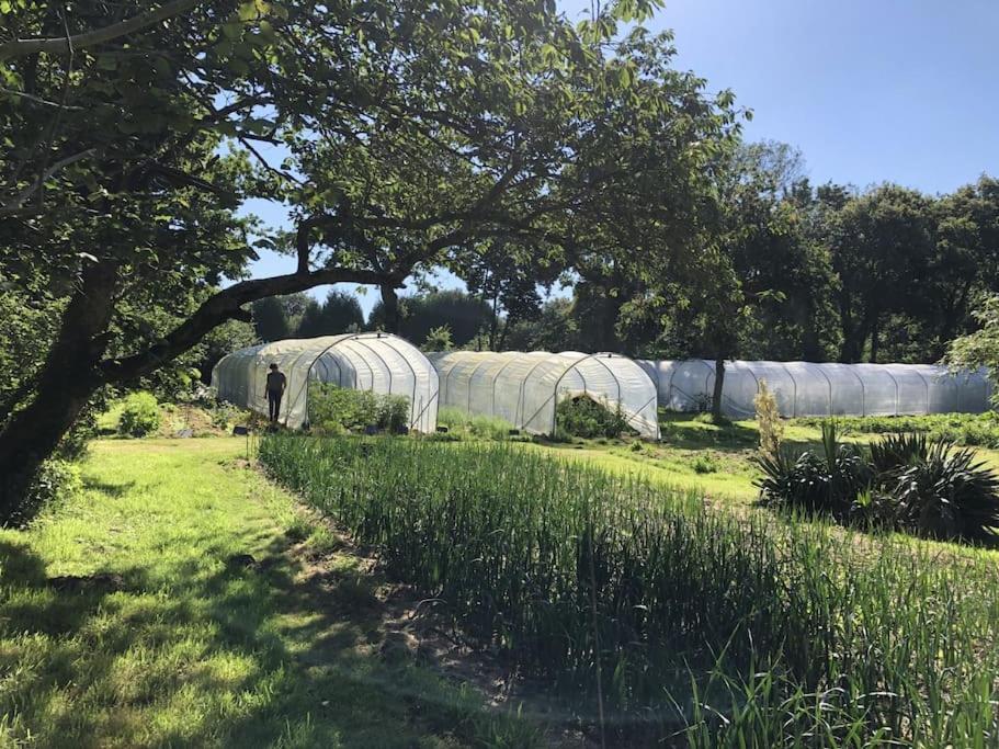 La Terre Ferme - Au Coeur D'Une Ferme Maraichere Saint-Lunaire Exteriér fotografie